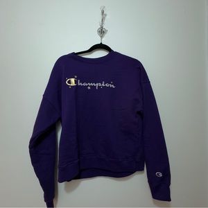 Champion Sweater